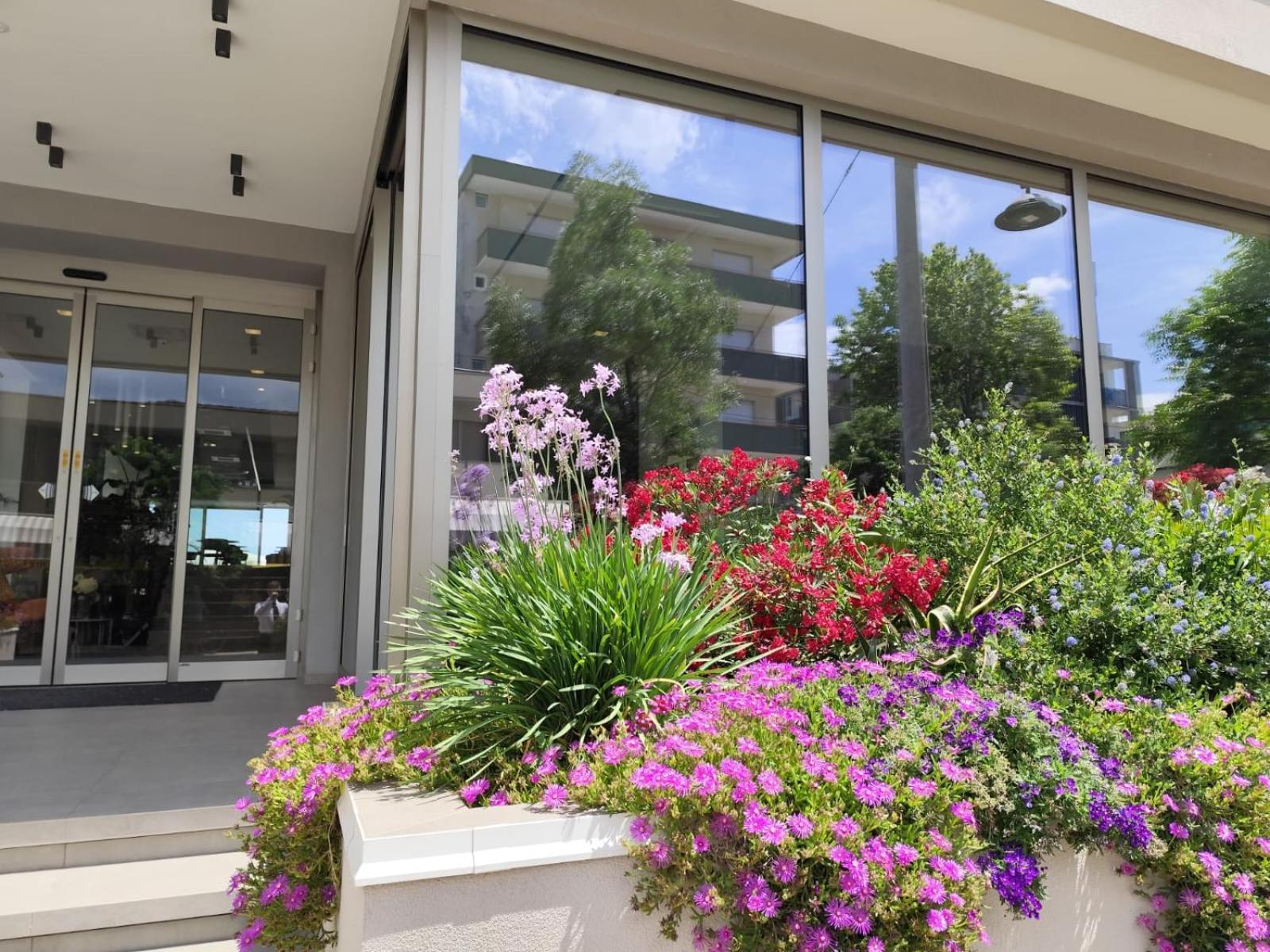 Hotel Sporting Riccione Dış mekan fotoğraf